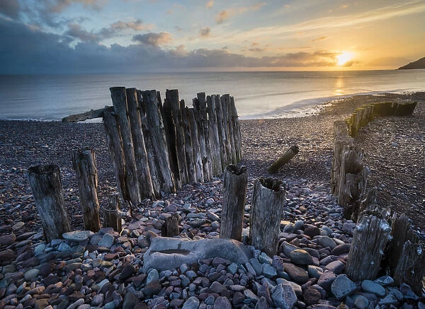 Remains of a wooden groyne at Porlock Weir, sunrise in spring, Somerset, England