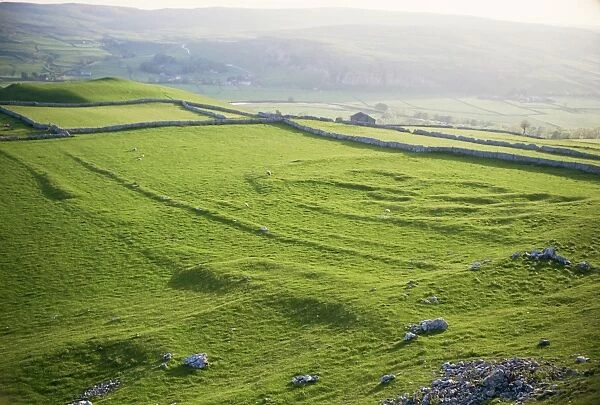 Remnants of Celtic settlement on limestone bench, Hill Castles, Wharfedale