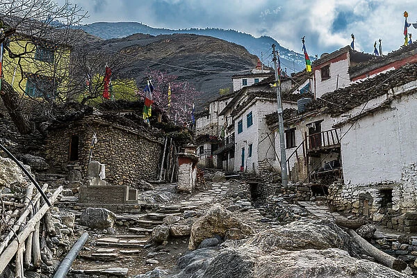 Remote Tetang village, Kingdom of Mustang, Himalayas, Nepal, Asia