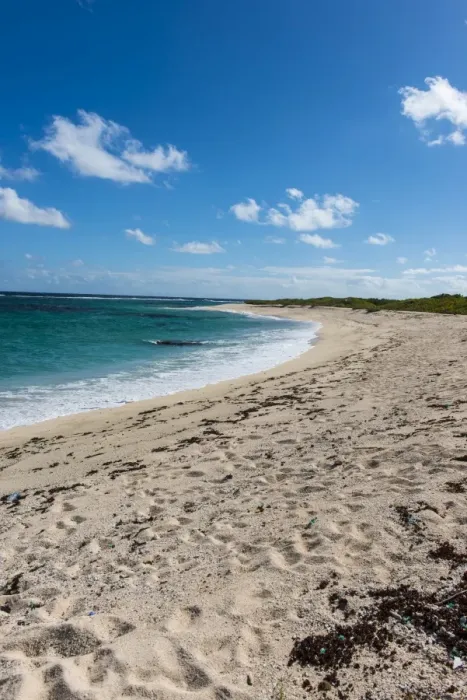 Framed Print : Remote white sand beach in Barbuda, Antigua and Barbuda, West Indies, Caribbean, Central America Framed Print : Remote white sand beach in Barbuda, Antigua and Barbuda, West Indies, Caribbean, Central America