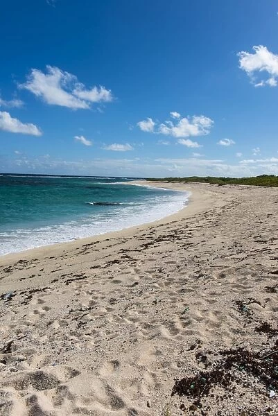Remote white sand beach in Barbuda, Antigua and Barbuda, West Indies, Caribbean, Central America
