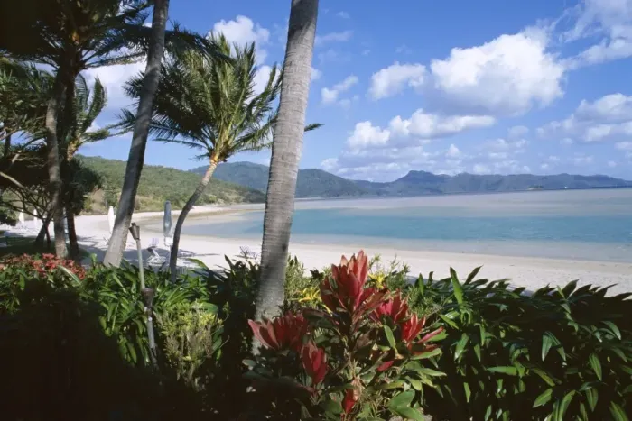 Framed Print : Resort beach, Hayman Island, Whitsundays, Queensland, Australia, Pacific Framed Print : Resort beach, Hayman Island, Whitsundays, Queensland, Australia, Pacific