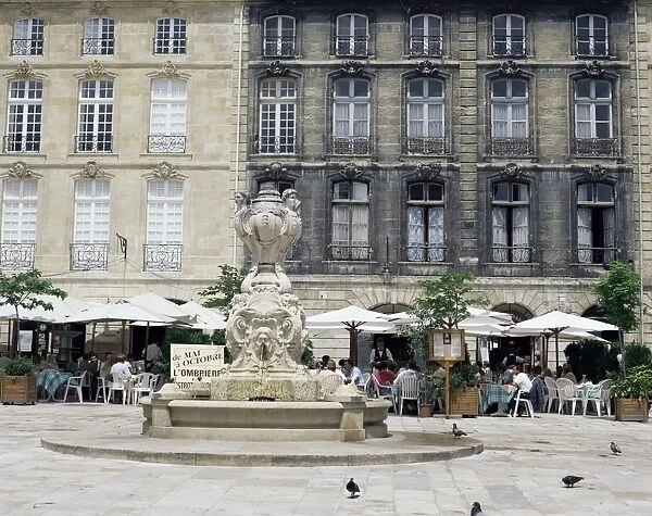 Restaurants in Bordeaux, Aquitaine, France, Europe