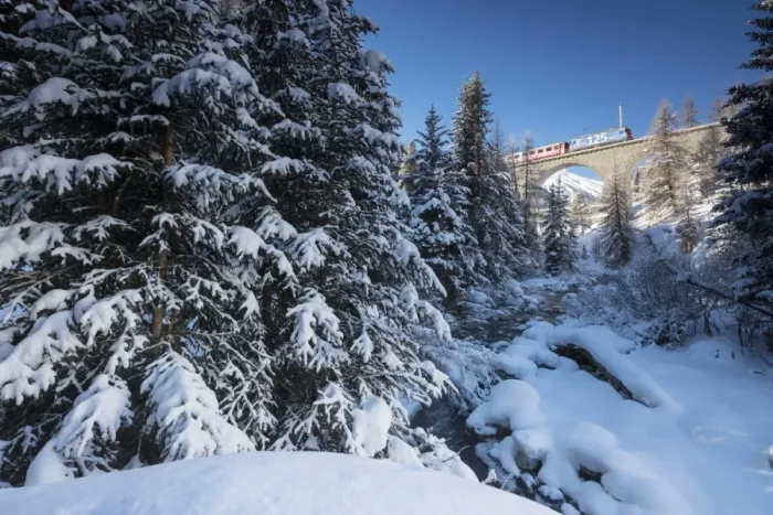 Framed Print : Rhaetian Railway on the Chapella Viadukt surrounded by snowy woods, Canton of Graubunden Framed Print : Rhaetian Railway on the Chapella Viadukt surrounded by snowy woods, Canton of Graubunden
