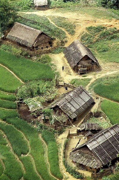 Rice fields in Sapa region, North Vietnam, Vietnam, Indochina, Southeast Asia, Asia