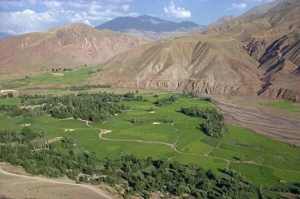 Rice fields and terracing in a valley in the Shahrak region