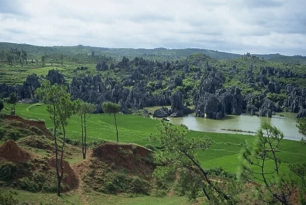 Rice paddies, lakes and limestone pinnacles in the Stone Forest area of Lunan in Yunnan Province
