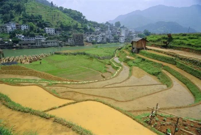 Framed Print : Rice paddies in Longsheng, Guangxi, China Framed Print : Rice paddies in Longsheng, Guangxi, China