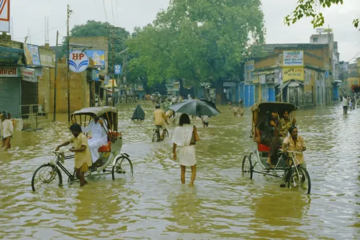 Framed Print : Rickshaws being pushed through the monsoon floods in a town Framed Print : Rickshaws being pushed through the monsoon floods in a town