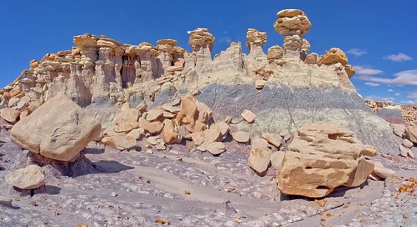 A ridge of hoodoos that resemble dog heads in Devils Playground at Petrified Forest National Park, Arizona, United States of America, North America