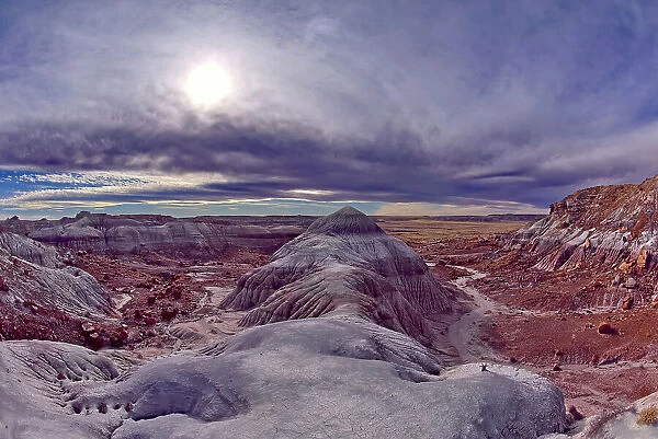 A ridge of purple bentonite clay jutting out into Jasper Forest at Petrified Forest National Park, Arizona, United States of America, North America