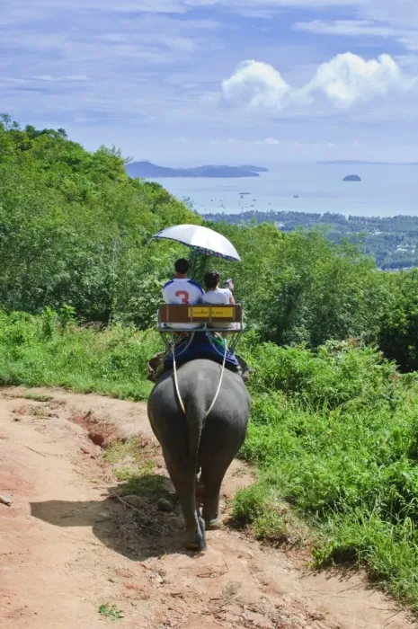 Framed Print : Riding elephants in the Chalong Highlands, Phuket, Thailand, Southeast Asia, Asia Framed Print : Riding elephants in the Chalong Highlands, Phuket, Thailand, Southeast Asia, Asia