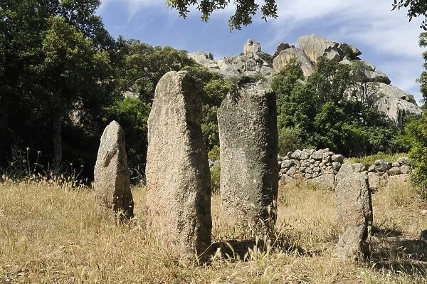 Rinaju Alignment of Neolithic menhirs erected around 6500 years ago at Cauria, Corsica, France, Europe