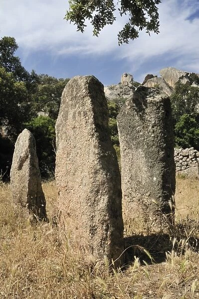 Rinaju Alignment of neolithic menhirs erected around 6500 years ago at Cauria, Corsica, France, Europe