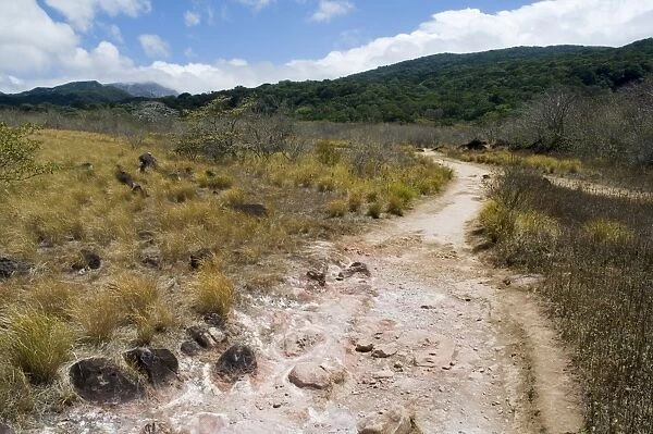 Rincon de la Vieja National Park, at foot of Rincon Volcano, Guanacaste