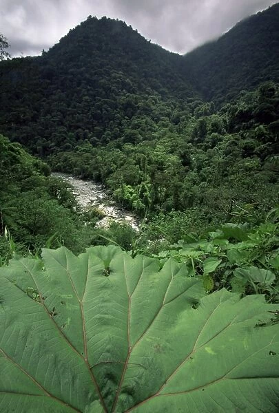 Rio Grande de Orosi, Costa Rica, Central America