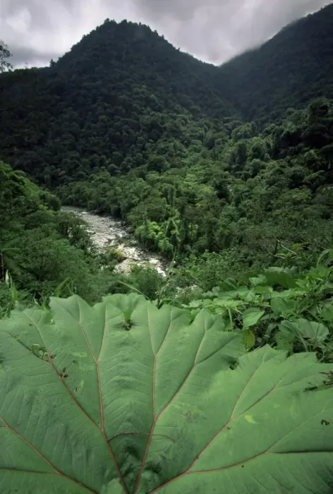 Framed Print : Rio Grande de Orosi, Costa Rica, Central America Framed Print : Rio Grande de Orosi, Costa Rica, Central America