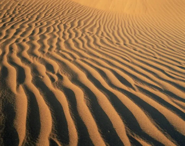 Framed Print : Ripples in the sand Framed Print : Ripples in the sand