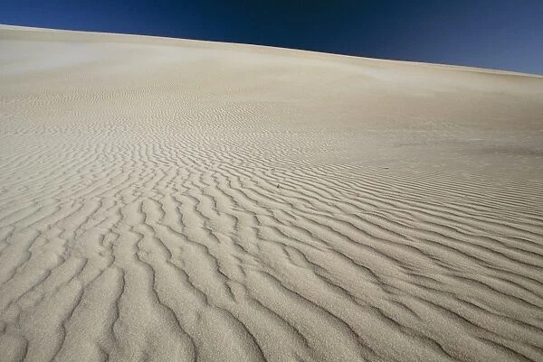 Ripples in sand dunes at Little Sahara on south coast, Kangaroo Island