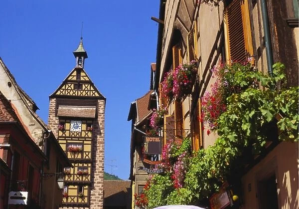 Riquewihr, Alsace, France, Europe