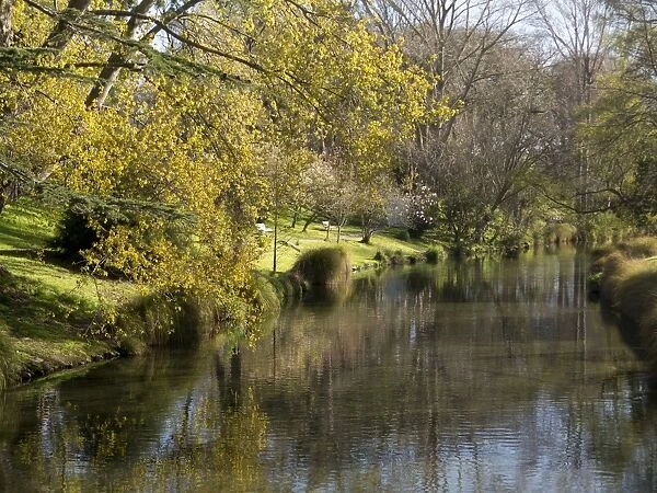 River Avon in Botanic Gardens, Christchurch, Canterbury, South Island, New Zealand, Pacific
