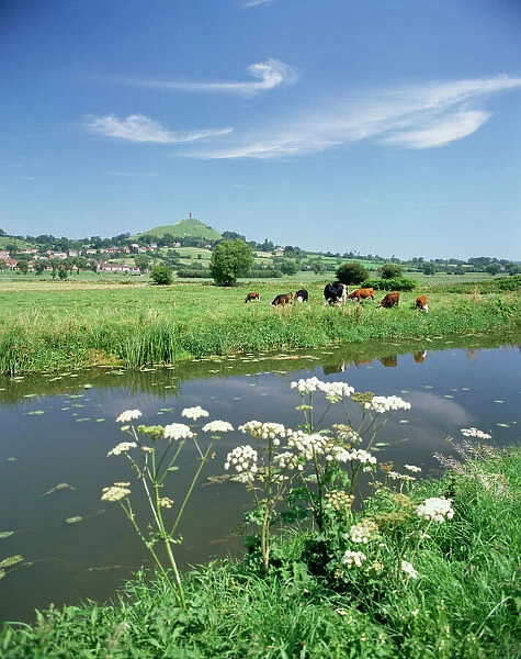 River Brue with Glastonbury Tor in the distance, Somerset, England, United Kingdom