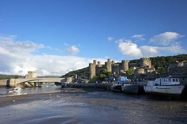 River Conwy estuary and medieval castle in summer, UNESCO World Heritage Site, Gwynedd, North Wales, United Kingdom, Europe