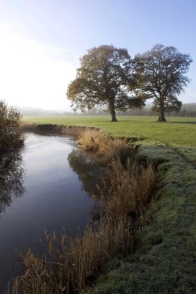 River Culm near Rewe, Devon, England, United Kingdom, Europe
