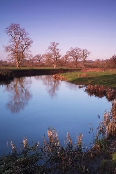 River Culm, near Rewe, Devon, England, United Kingdom, Europe