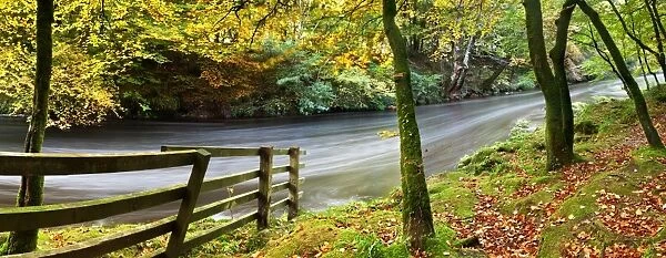 River Dart, Dartmoor National Park, Devon, England, United Kingdom, Europe