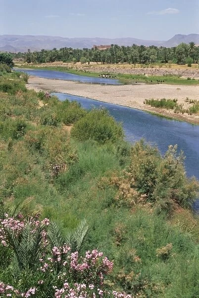 River Draa