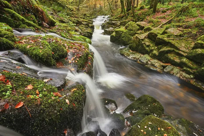 Framed Print : The River Erne flowing fast through autumnal ancient forest, Dartmoor National Park, near Ivybridge, Devon, England, United Kingdom, Europe Framed Print : The River Erne flowing fast through autumnal ancient forest, Dartmoor National Park, near Ivybridge, Devon, England, United Kingdom, Europe