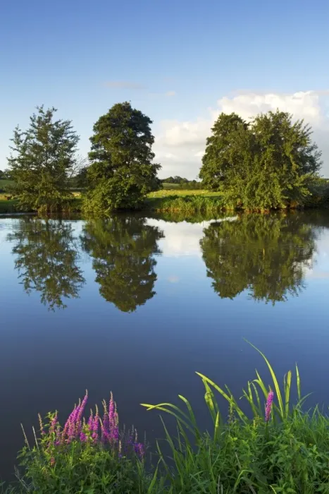 Framed Print : River Exe near Brampford Speke, Devon, England, United Kingdom, Europe Framed Print : River Exe near Brampford Speke, Devon, England, United Kingdom, Europe