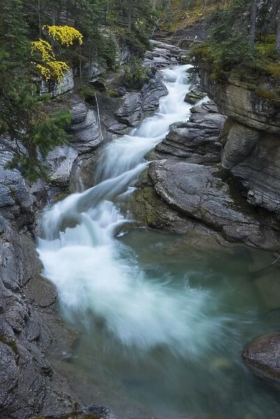 River flowing through Maligne Canyon with autumn foliage, Jasper National Park, UNESCO