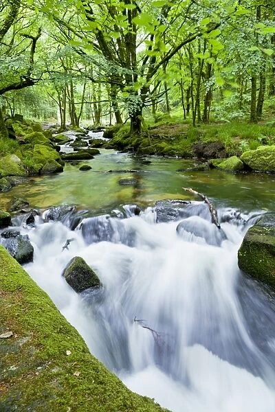 River Fowey, Goliath Falls, Looe, Cornwall, England, United Kingdom, Europe