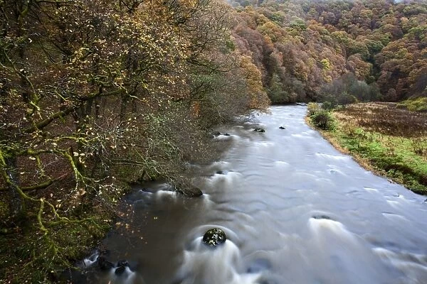 The River Greta in Brundholme Woods, Keswick, Cumbria, England, United Kingdom, Europe