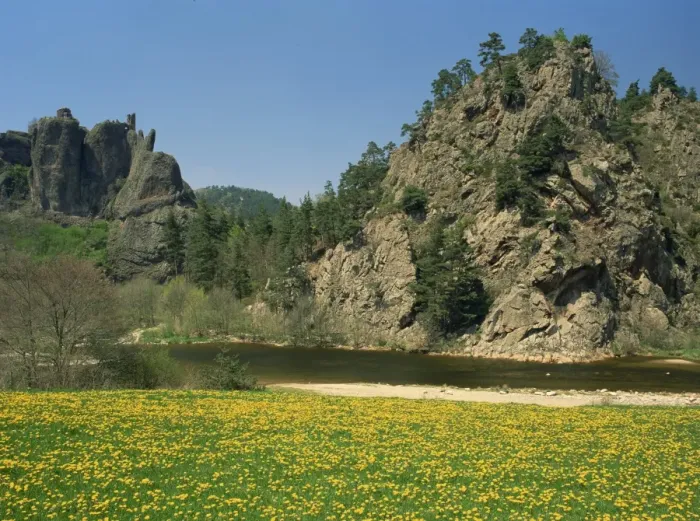Framed Print : The River Loire in spring with wild flowers on bank and cliffs behind, near Arlempdes Framed Print : The River Loire in spring with wild flowers on bank and cliffs behind, near Arlempdes
