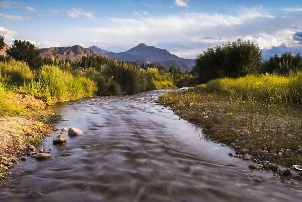 River Mendoza (Rio Mendoza) and the Andes Mountains at Uspallata, Mendoza Province