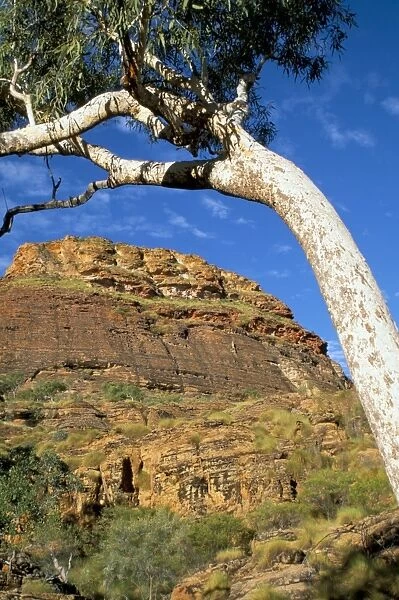 Keep River National Park, Northern Territory, Australia, Pacific