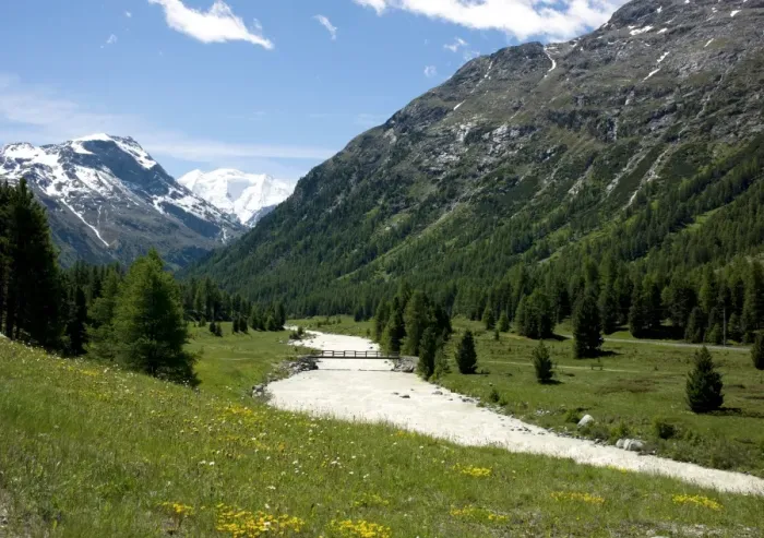 Framed Print : River near St. Moritz, Canton Graubunden, Swiss Alps, Switzerland, Europe Framed Print : River near St. Moritz, Canton Graubunden, Swiss Alps, Switzerland, Europe