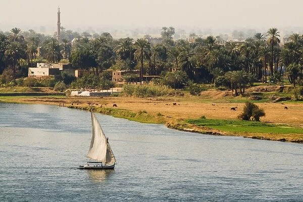 The River Nile, Luxor, Thebes, Egypt, North Africa, Africa