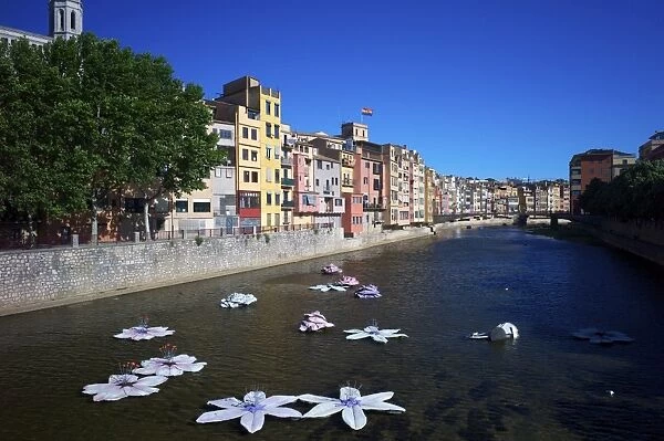 River Onyar during the flower festival, Girona, Catalonia, Spain, Europe