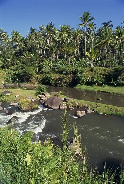River passing through valley with palm trees at Kupa Kupa Barong