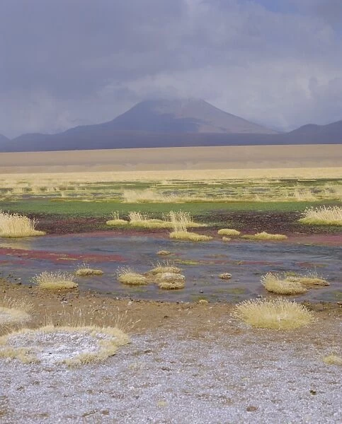 River Putana, Futuro National Park, San Pedro de Atacama, Chile