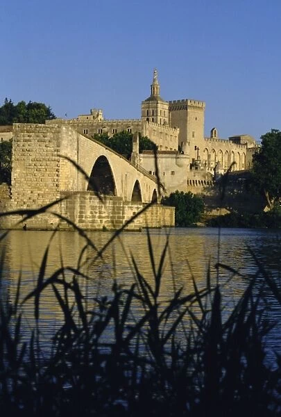 The River Rhone at Avignon, Provence, France