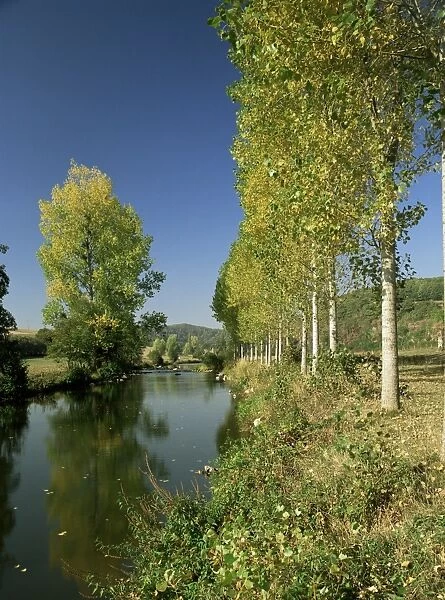 River Sarthe, near Le Mans, Sarthe, western Loire, Pays de la Loire, France, Europe