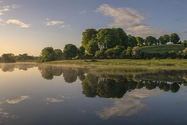 River Shannon near O Briensbridge (O Briens Bridge), County Clare, Munster, Republic of Ireland