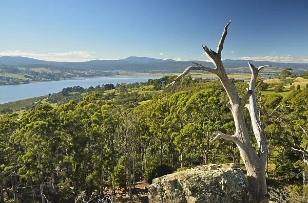 River Tamar, Tamar Valley, Tasmania, Australia, Pacific