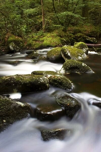 River Teign, Dartmoor National Park, Devon, England, United Kingdom, Europe