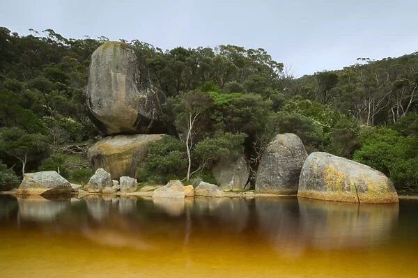 River, Tidal River, Wilsons Promontory, Victoria, Australia